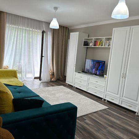 Silvelen Mountain View Apartment Brasov Exterior photo