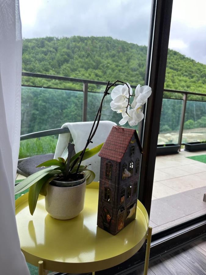Silvelen Mountain View Apartment Brasov Exterior photo