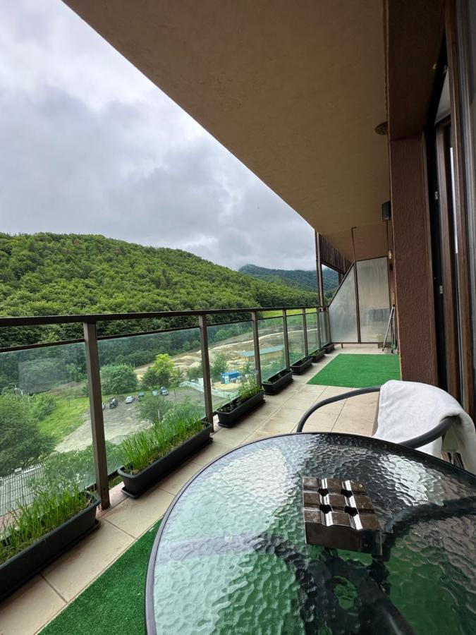 Silvelen Mountain View Apartment Brasov Exterior photo
